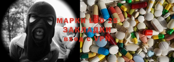 прущие грибы Майский