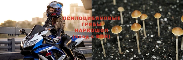 бошки Магадан