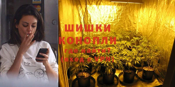 прущие грибы Майский