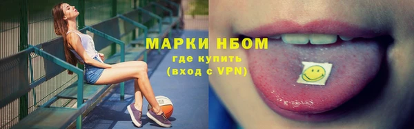 прущие грибы Майский