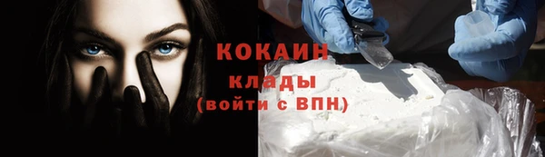 прущие грибы Майский