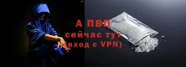 тгк Магас