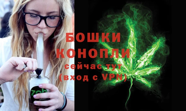 прущие грибы Майский