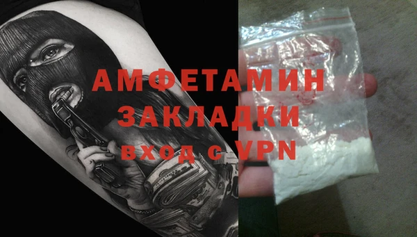 прущие грибы Майский