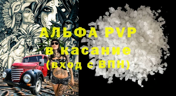 прущие грибы Майский