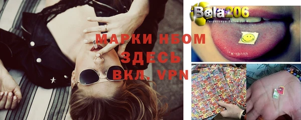 тгк Магас