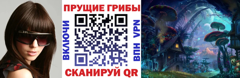 Галлюциногенные грибы прущие грибы маркетплейс состав Томмот